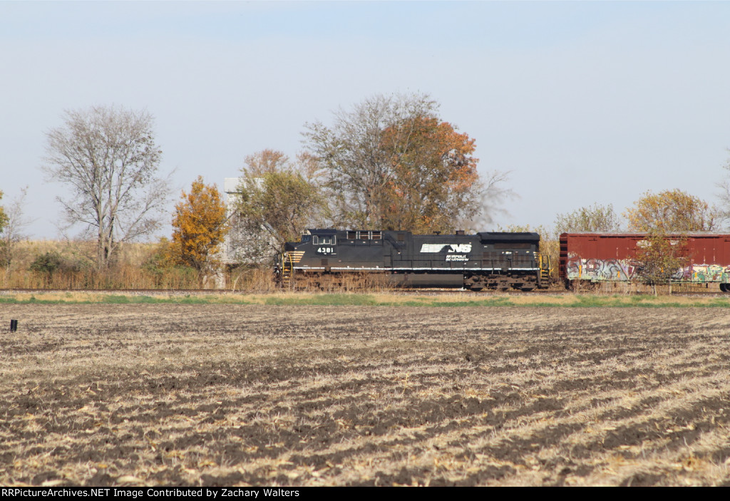 NS 4381